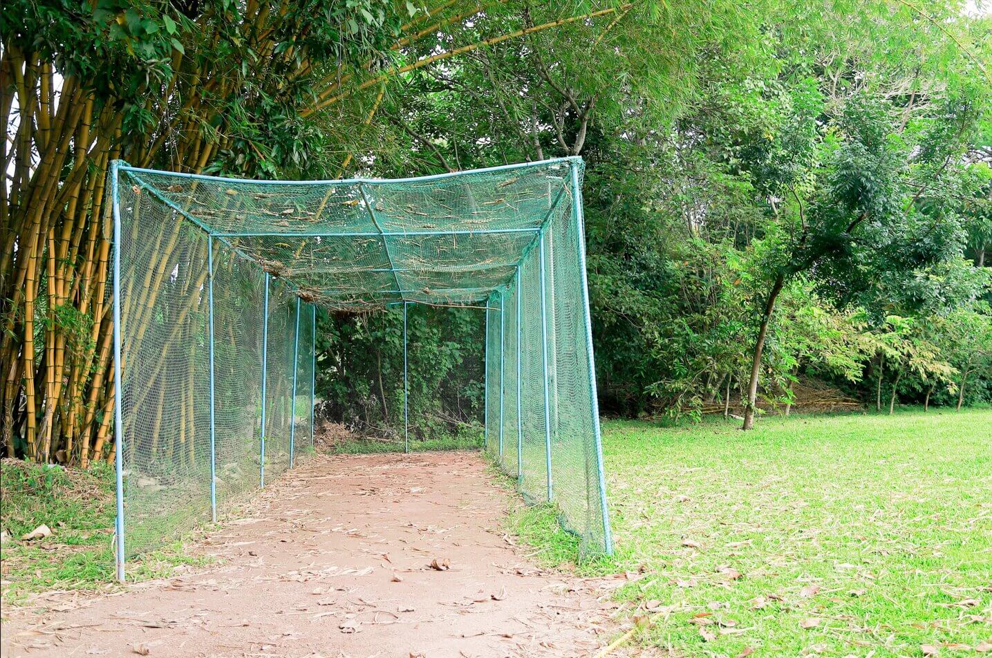 3. Cricket Net Practice